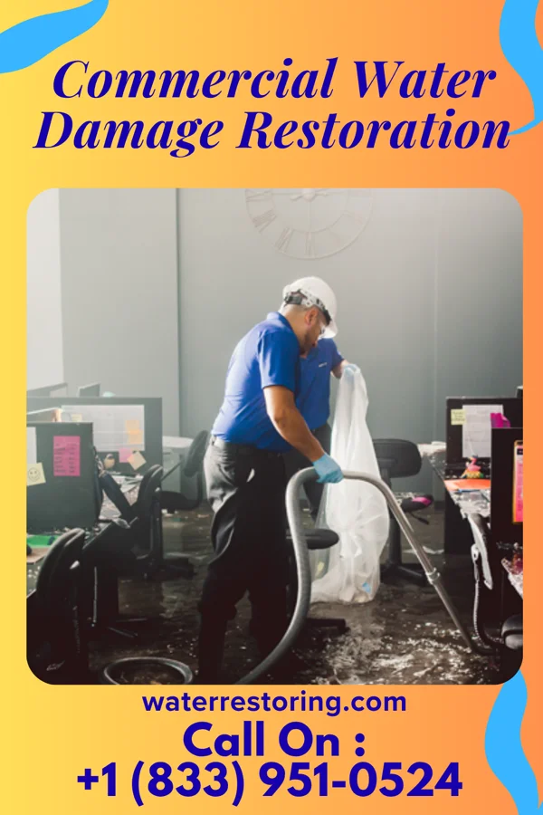Commercial Water Damage Restoration in Alderwood Manor, WA