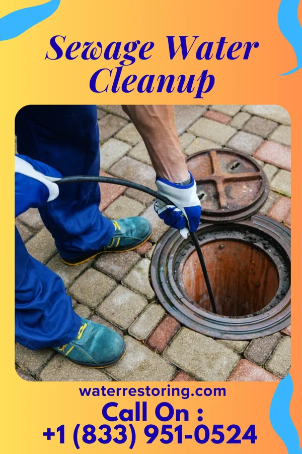 Sewage Water Cleanup in Alderwood Manor, WA